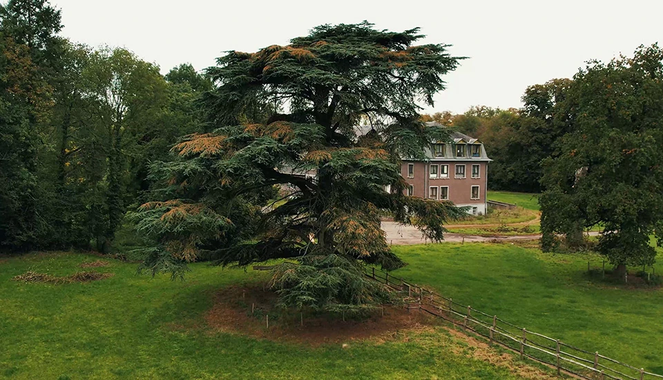 Kasteel van Leut